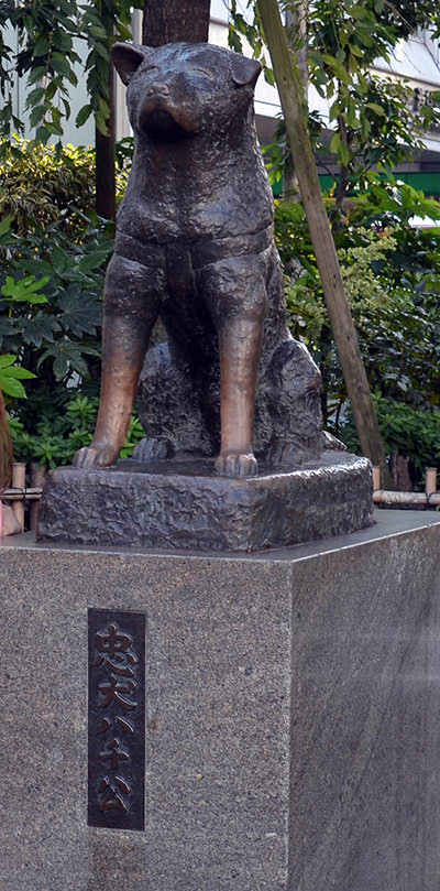 渋谷といえばやはりココ 渋谷駅前の 忠犬ハチ公像 運転代行のドライバーズ東京