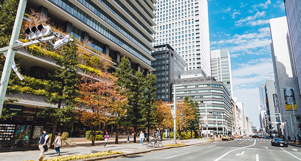 中央区京橋の道路
